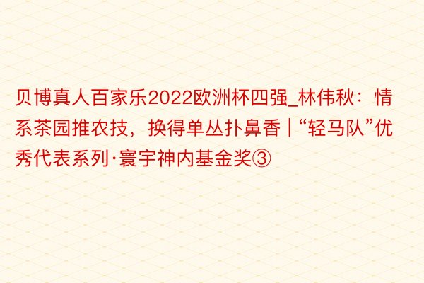 贝博真人百家乐2022欧洲杯四强_林伟秋：情系茶园推农技，换得单丛扑鼻香 | “轻马队”优秀代表系列·寰宇神内基金奖③